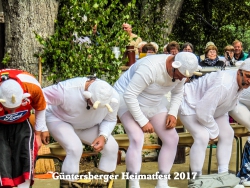 Heimatfest 2017-00085.jpg