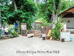 Heimatfest 2017-00008.jpg