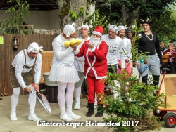 Heimatfest 2017-00095.jpg